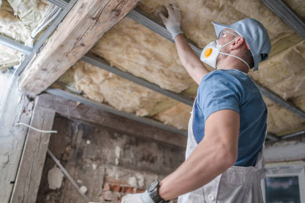 Best Cellulose Insulation in Stanleytown, VA