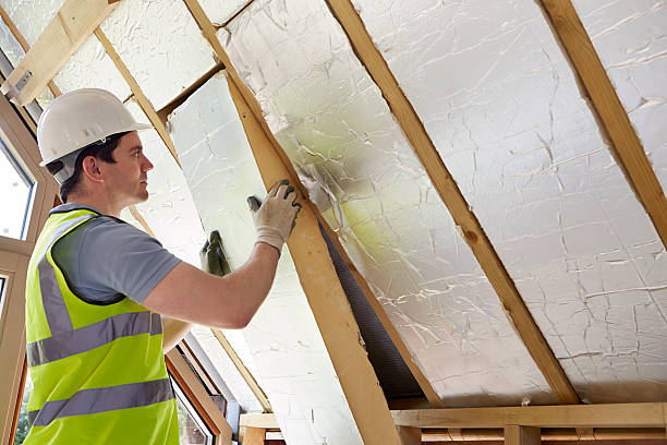 Best Cellulose Insulation in Stanleytown, VA